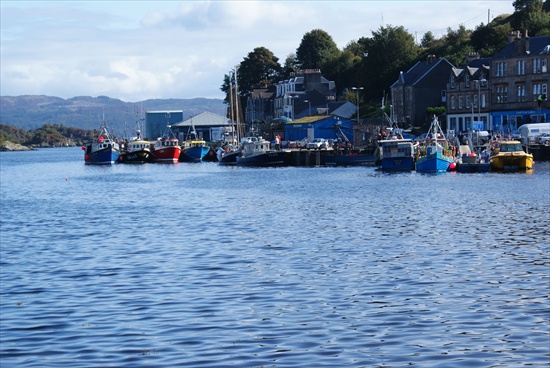 a tarbert harbour view