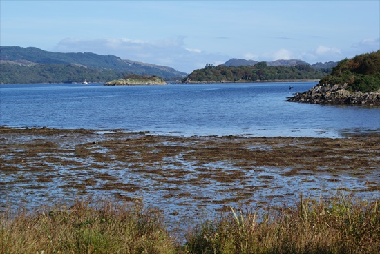 a tarbert harbour view