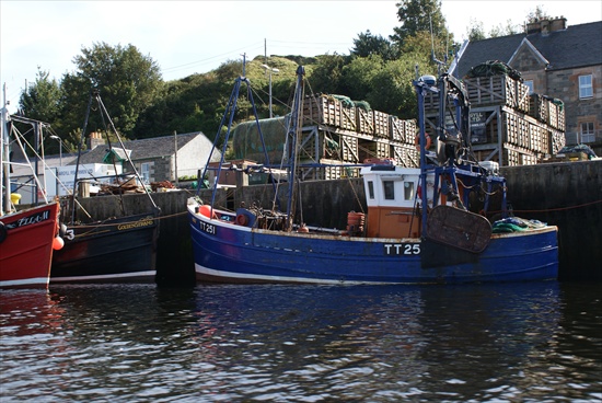 a tarbert harbour view